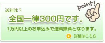 送料300円