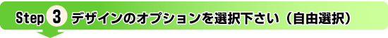 デザインのオプションを選択ください